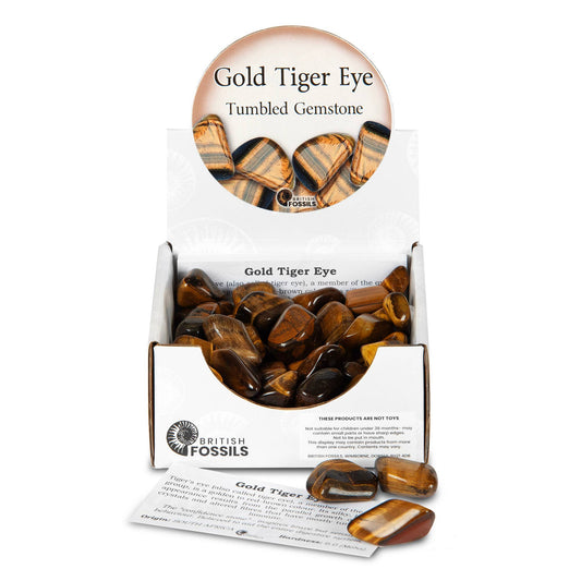 Large Gold Tiger Eye Tumbled Gemstones Pack