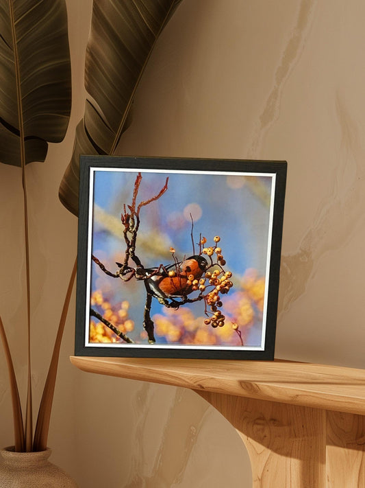 Little Red Bird Print in Black Frame