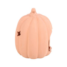 Load image into Gallery viewer, 9cm Terracotta Pumpkin Tealight Holder
