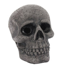 Load image into Gallery viewer, Skull Incense Cone Holder
