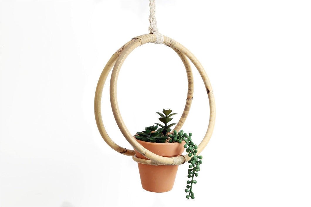 Faux Succulent In Bamboo Hanger